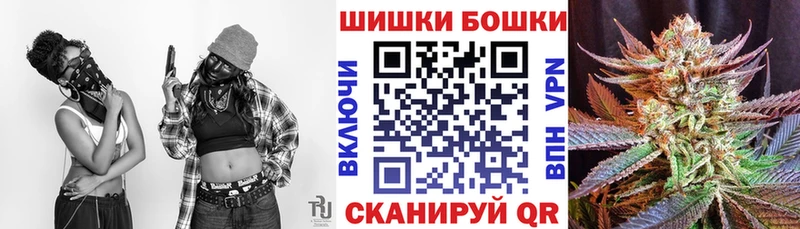Галлюциногенные грибы Зверево