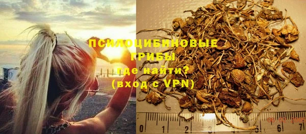 spice Козловка