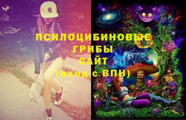 тгк Козельск