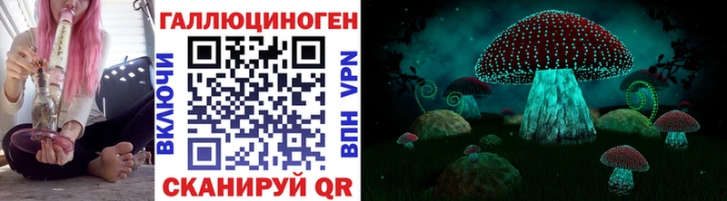 Псилоцибиновые грибы Psilocybine cubensis  Купить где  Зверево 