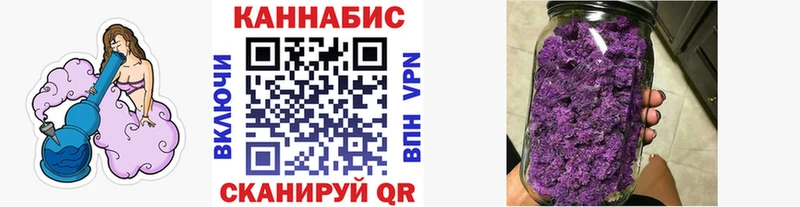 Марихуана план  Купить закладки  Зверево 
